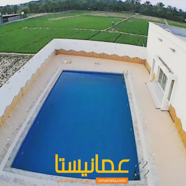 صورة 7