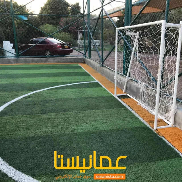 صورة 5