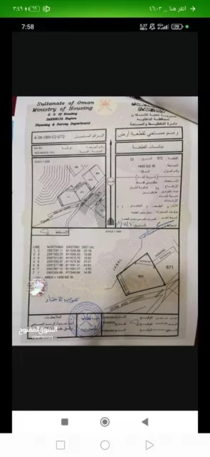 صورة 2