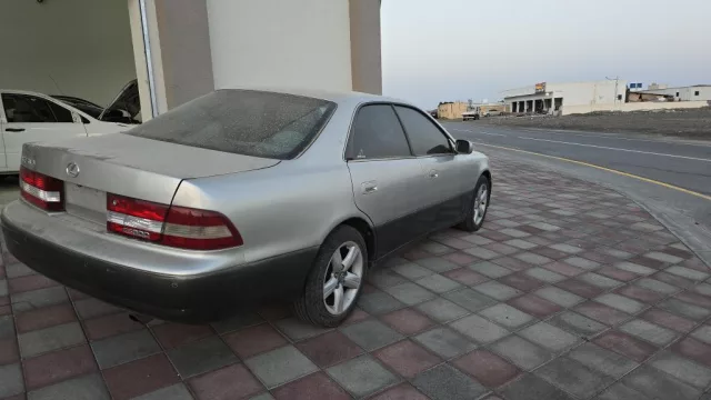صورة 3