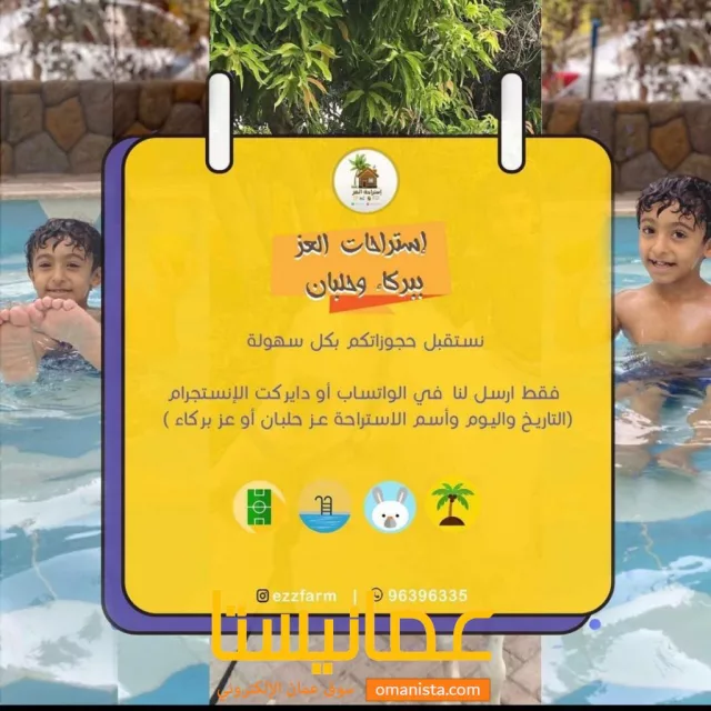 صورة 7