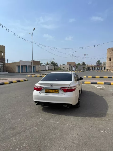 صورة 3