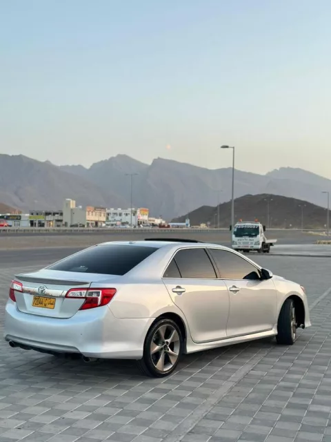 صورة 8