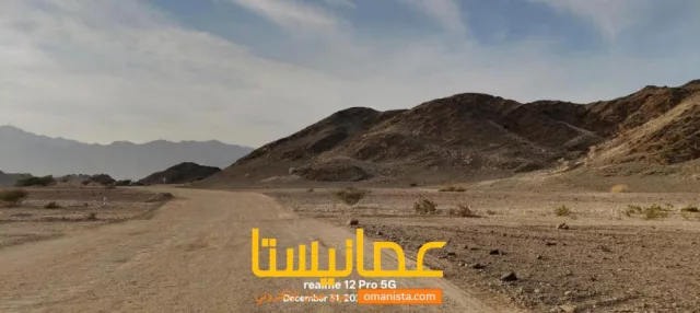 صورة 6