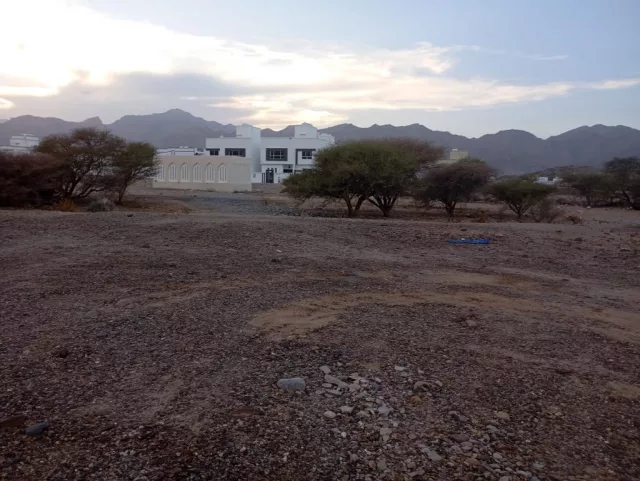صورة 3