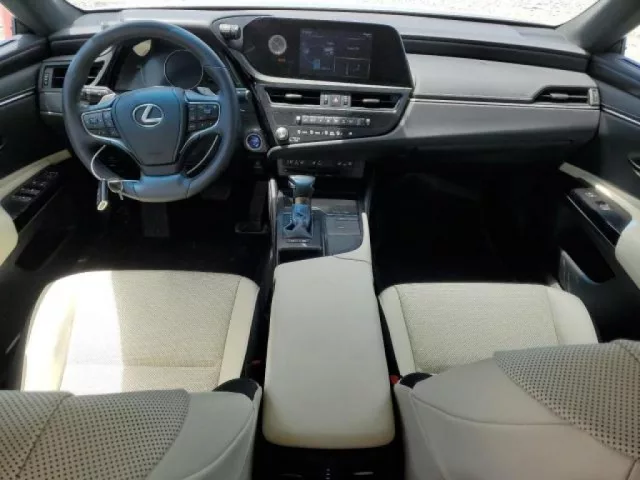 صورة 3