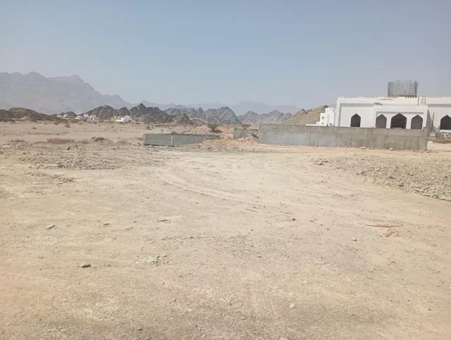 صورة 3