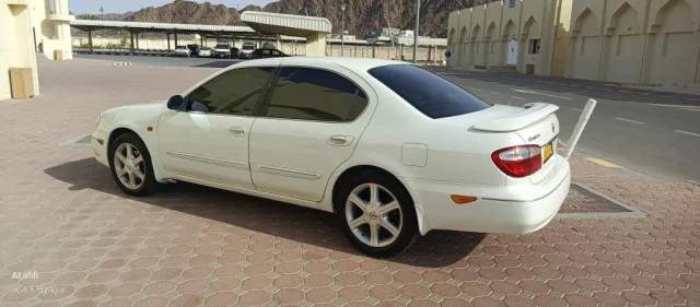 صورة 2