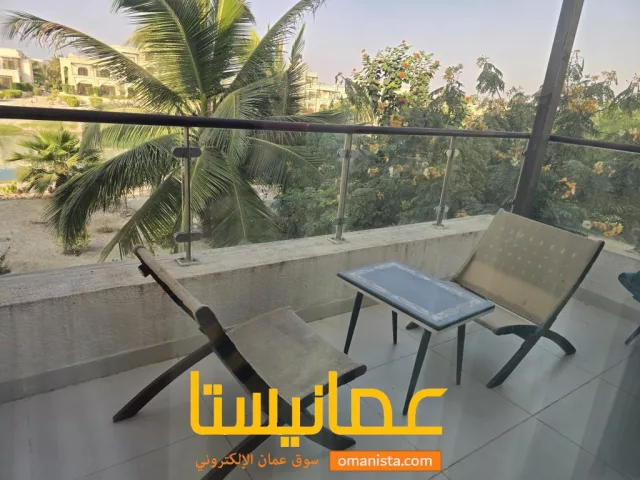 صورة 8