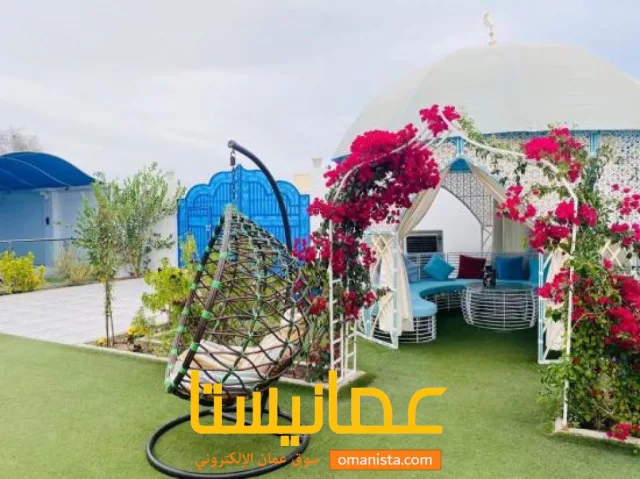 صورة 9