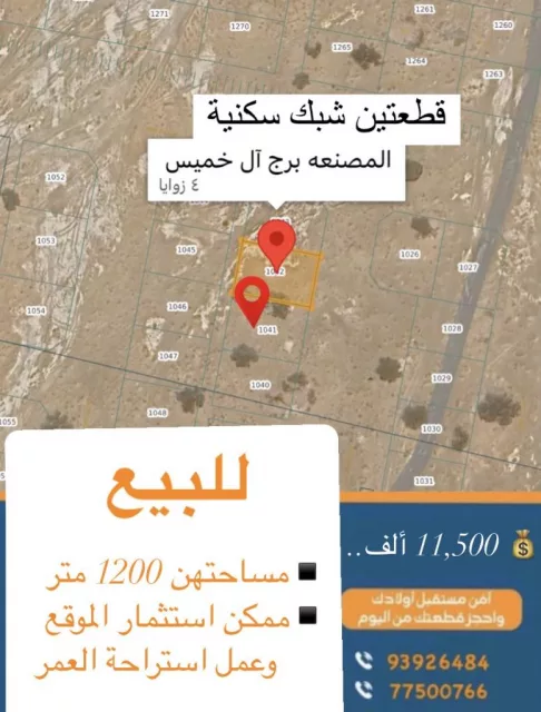 صورة 2