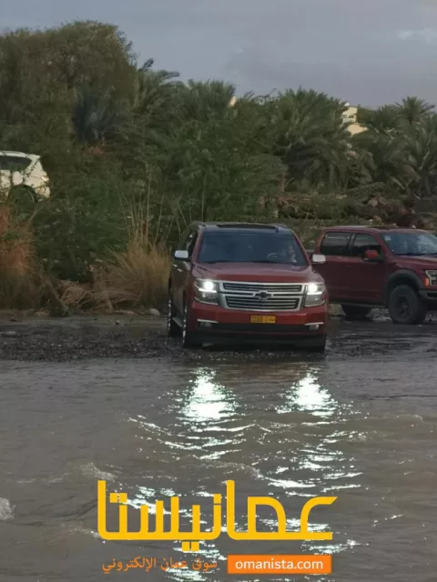 صورة 7