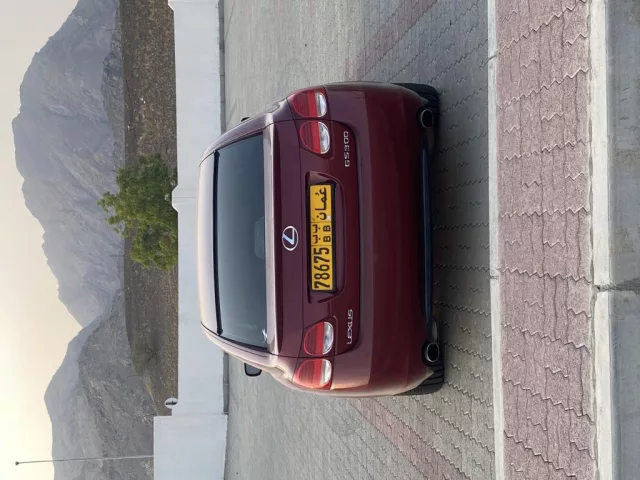 صورة 6