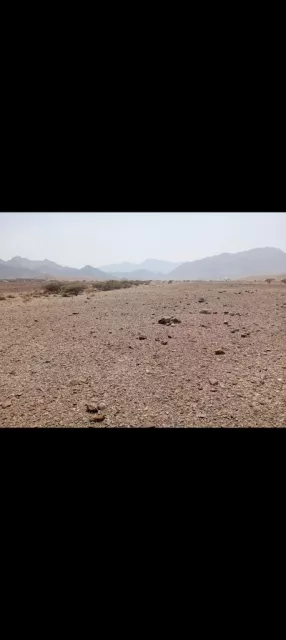 صورة 2
