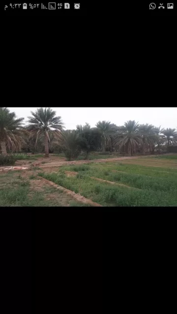 مزرعة للبيع