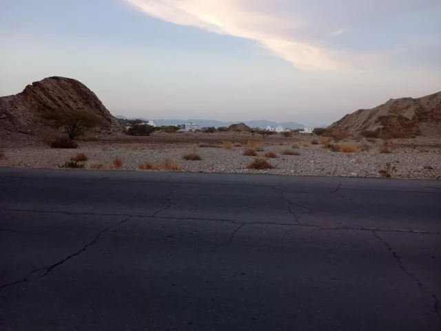 صورة 2