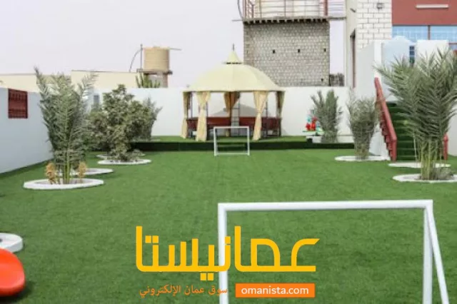 صورة 8