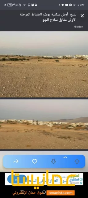 صورة 3