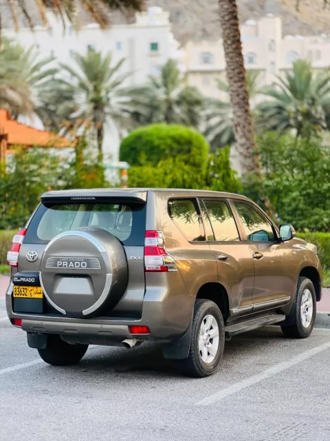 صورة 8