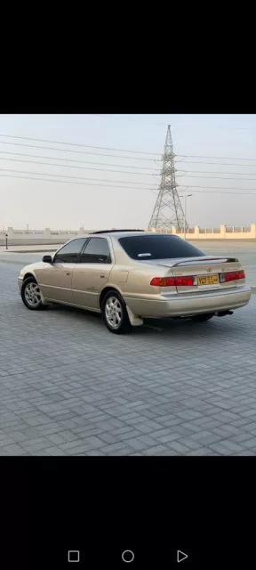 صورة 3
