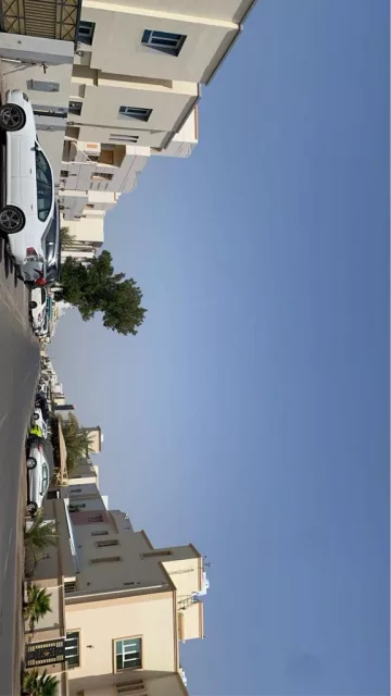صورة 3