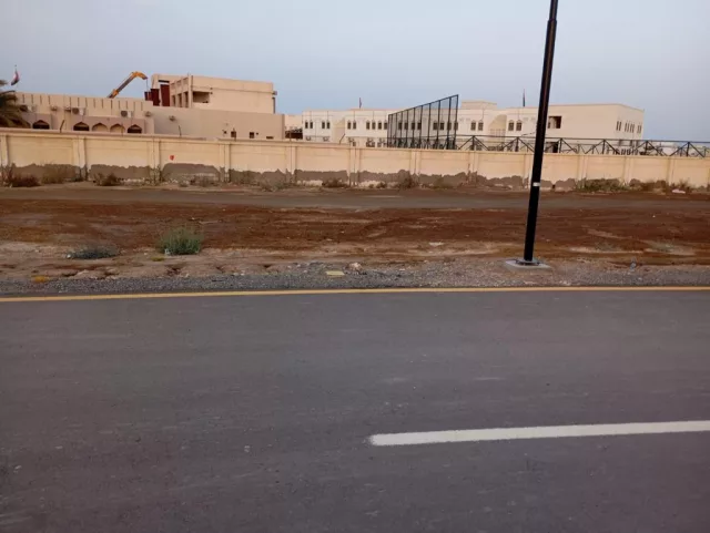 صورة 2