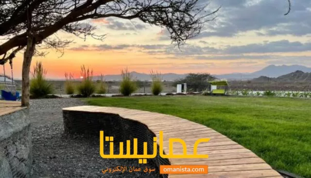 صورة 3