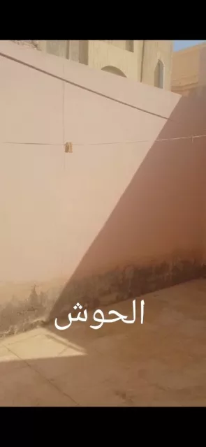 صورة 2