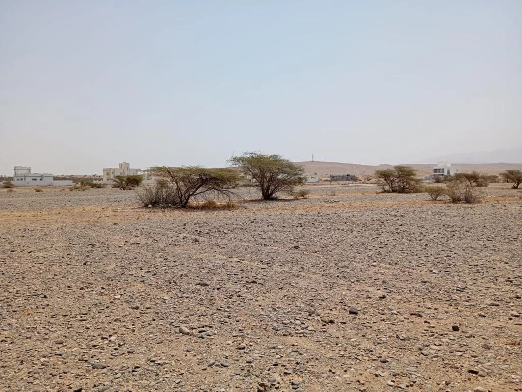 للبيع أرض سكنية في الفليج المعمورة اول المخطط