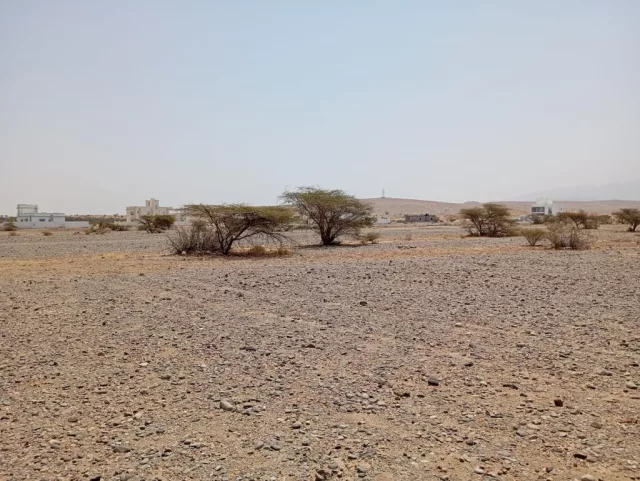 للبيع أرض سكنية في الفليج المعمورة اول المخطط