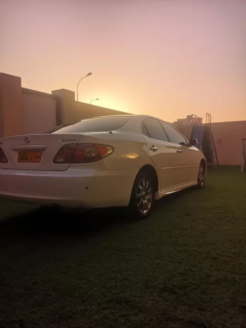 صورة 7