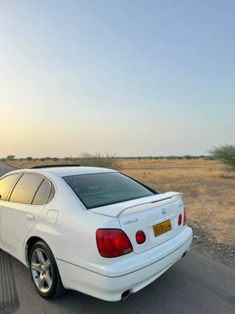 صورة 6