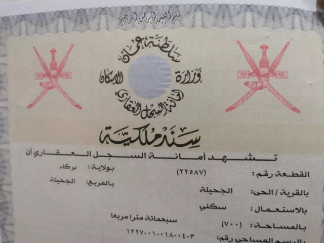 صورة 2
