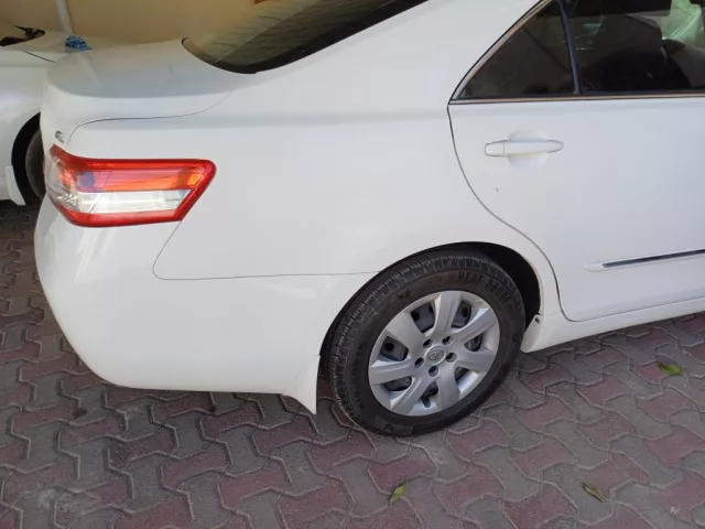 صورة 6