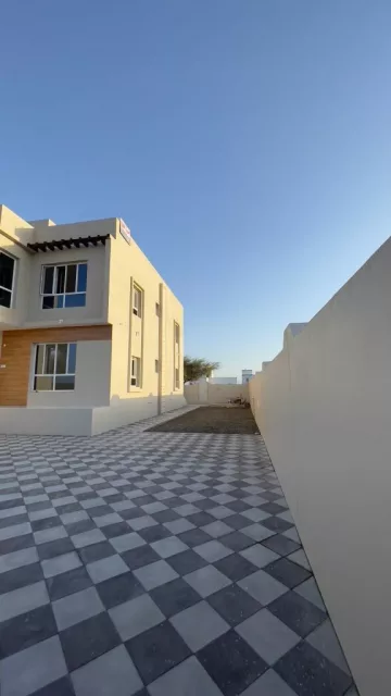 صورة 3