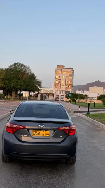 صورة 3