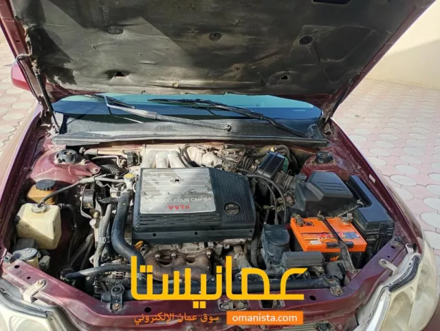 صورة 7