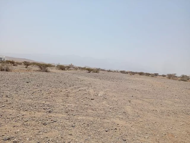 صورة 3