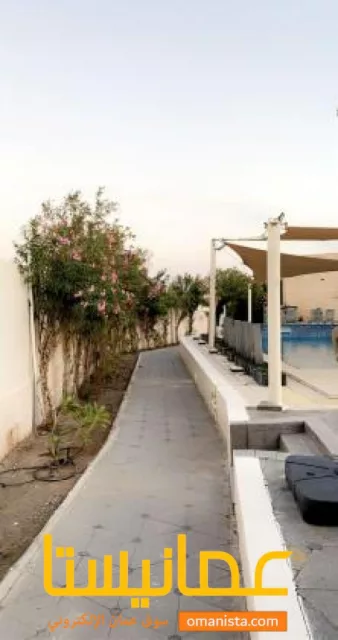 صورة 7