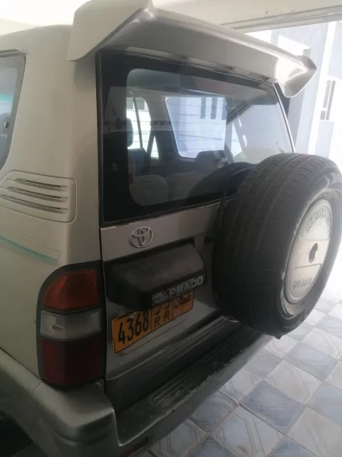 صورة 2