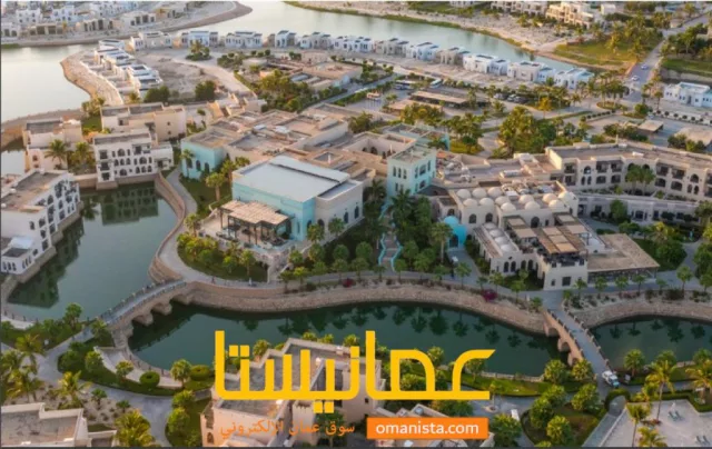 صورة 2
