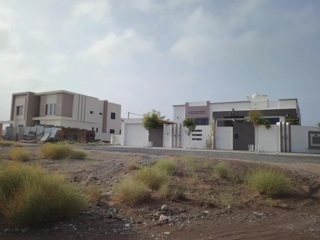 صورة 2