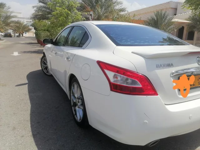 صورة 3
