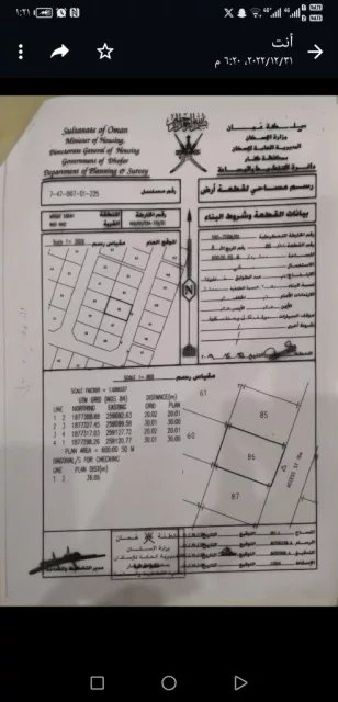 صورة 3