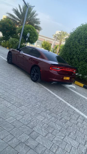 صورة 4