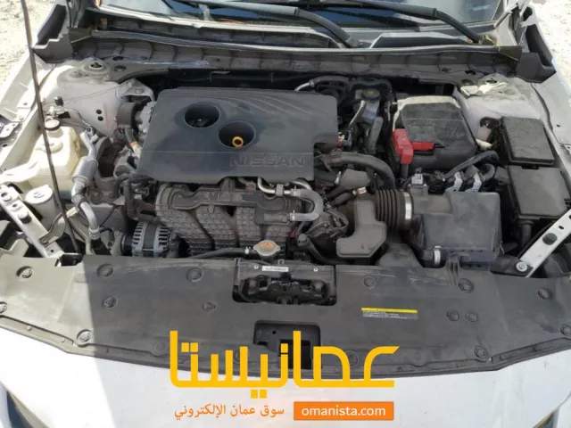 صورة 7