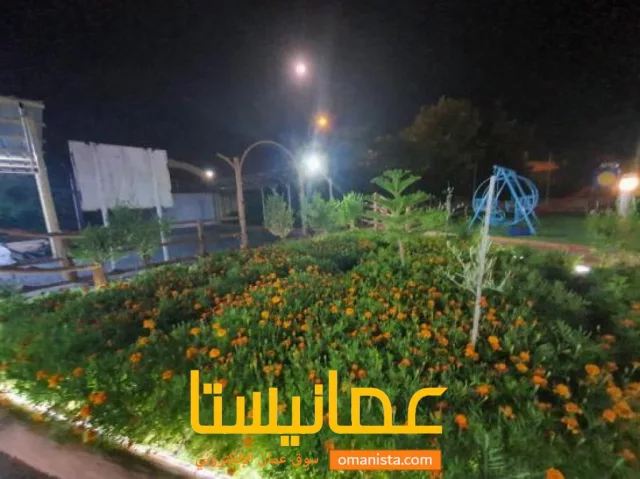 صورة 6