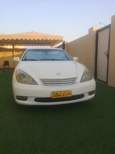 صورة 3