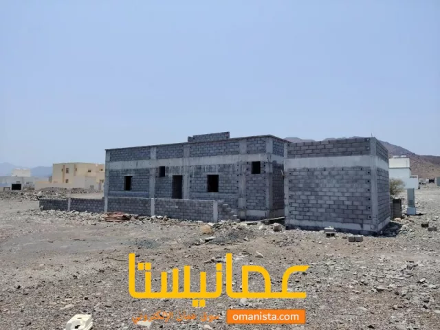 صورة 2