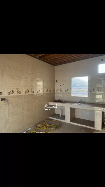 صورة 3